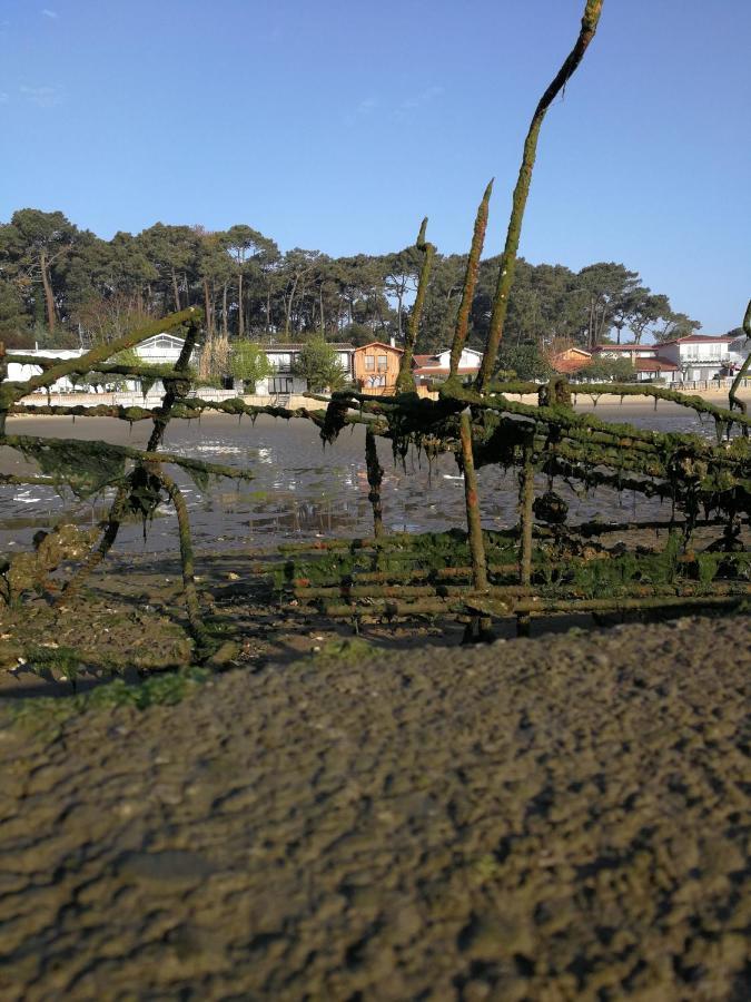 La Cabane Du Truquet Lège-Cap-Ferret Екстериор снимка