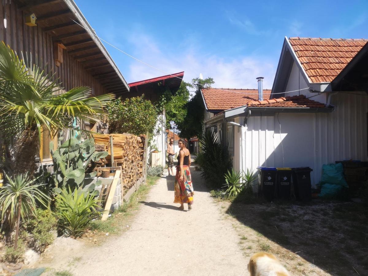 La Cabane Du Truquet Lège-Cap-Ferret Екстериор снимка